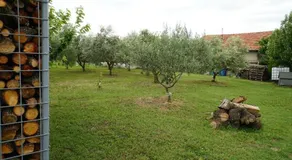 Apartment Talir - Image 2