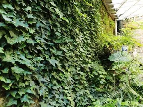 Banshanyao Shancun Guest House - Image 3