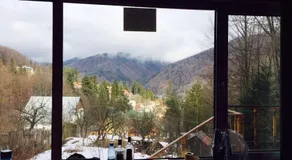 Vila Sinaia Private - Image 5