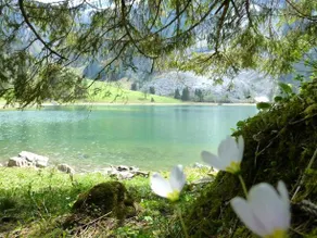 Berghotel Obersee - Image 3