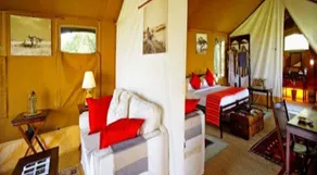 Elephant Pepper Camp - Image 5