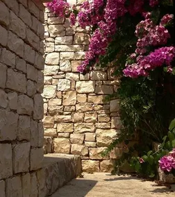 Holiday home Capkovic - Image 2