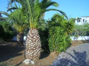 Villa Super Relax - Image 5