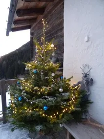 Fewo Bergpanorama Obertalerhof - Image 2