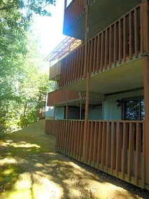 Senedo Springs - Image 5