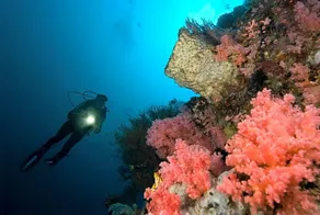 Gangga Island Resort & Spa - Image 2