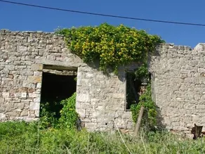 Greek House - Image 5