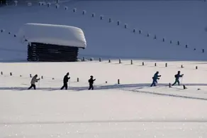 Alpenchalet Jagdhof - Image 2
