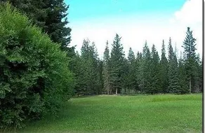 Cozy Cubbyhole Bed & Breakfast - Image 4