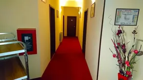 Hotel Pui de Urs - Image 4