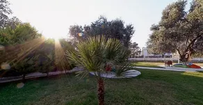 Club Alisya - Image 5