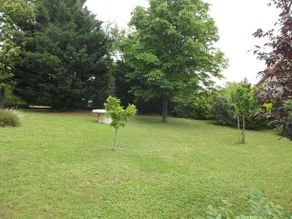 Domi Villa - Image 4