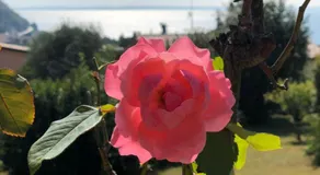 Villa Leda - Image 2