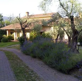 Olivanda Agriturismo Bed and Breakfast - Image 2