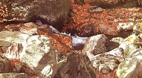 Hejnice Retreat - Image 3