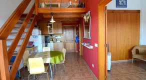 Apartamentos Olimpia - Image 3
