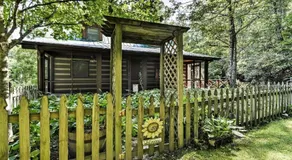 Black Mountain Cabin w/ Screened Porch + Views! - Image 5