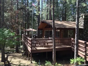 Scenic Wonders Papa Bear Cabin - Image 2
