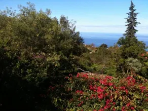 Finca La Hondura - Image 4