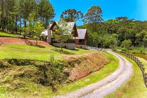 Leao De Juda - Image 3