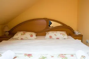 Pension Mellis Cluj Napoca - Image 4