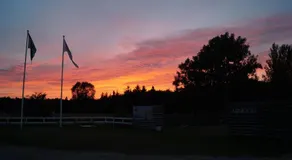 Kalundborg Camping - Image 3
