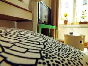 Ferienwohnung Leipzig Südvorstadt - Image 2