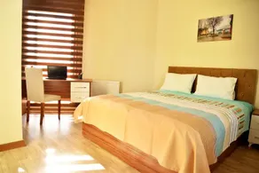 Bertal Suit - Image 5