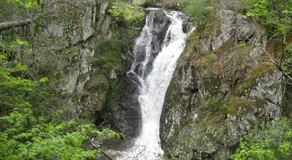 Gite Le Peuplier - Image 4