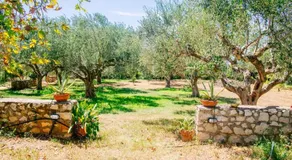 Traditional house in a natural oasis - Image 2