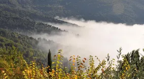 Villa Rosa - Image 2