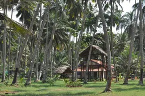 Blue And Green Resort - Image 2