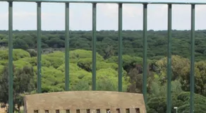 Ático del Portil - Image 4