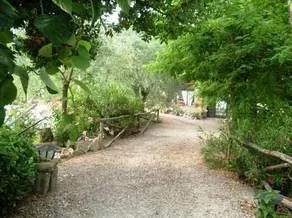 Il Fringuelletto - Image 3