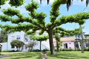 Apartamento Sandra Sanxenxo - Image 1