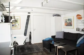 Aarhus bugtens Perle - Image 3