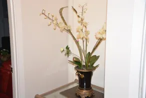 Aasra Home - Image 3