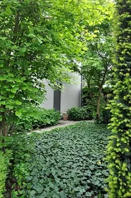 B&B De Logeur - Image 5
