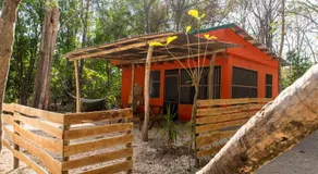 Zeneidas Surf Garden - Image 4