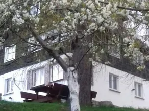Słoneczko - Image 2