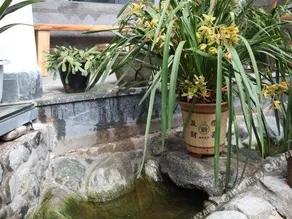 Dali Ancient City Jiaju Inn - Image 2