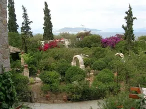 Nafsika - Image 5