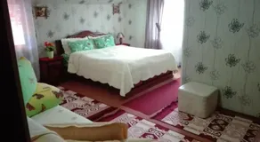 Flori De Bucovina - Image 4