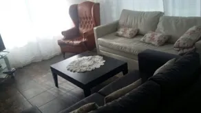 Pelicano Carilo - Image 3