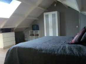 My Lodge - Image 5