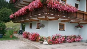 Haus Othmar Schabuss - Image 4