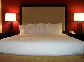 Holiday Inn Express Hotel & Suites Mesquite - Image 4