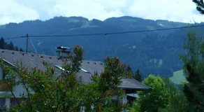 Große FeWo Scheffau - Image 3
