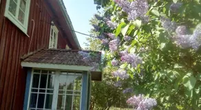 Wallas i Hylte 4, SÄVSJÖ LAMMHULT - Image 5