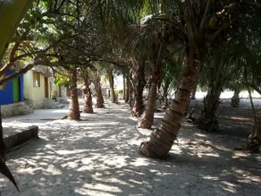 Cabanas Camping Ria Celestun - Image 4